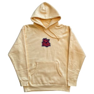 Image of GOTHIC LOGO HOODY PEACH