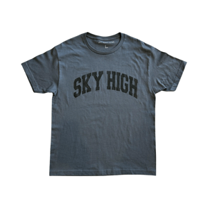 Image of COLLEGIATE LOGO TEE CHARCOAL